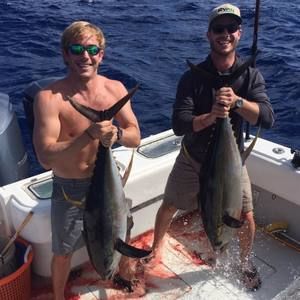 Meet your Posher, Brock